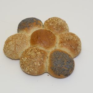 Bäckerblume